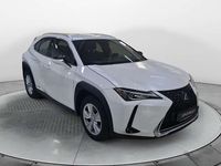 Usata Lexus UX 250h Business Edition 174 CV (127 kW) 2022 Bianco SUV