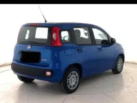 Nuova Fiat Panda S 69 CV (50 kW) 2026 Vari colori Utilitaria