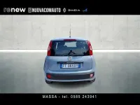 Usata Fiat Panda Easy 69 CV (50 kW) 2019 Grigio chiaro Utilitaria