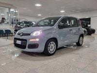 Usata Fiat Panda S 70 CV (51 kW) 2021 Grigio Utilitaria