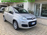 Usata Fiat Panda Easy 69 CV (50 kW) 2020 Grigio Utilitaria