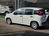 Usata Fiat Panda Easy 69 CV (50 kW) 2018 Bianco Utilitaria