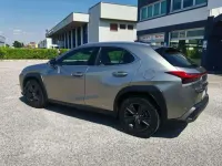 Usata Lexus UX Business Edition 152 CV (111 kW) 2020 Grigio SUV
