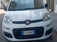 Usata Fiat Panda 85 CV (62 kW) 2014 Bianco Utilitaria