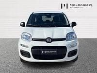 Nuova Fiat Panda Icon 65 CV (47 kW) 2026 Bianco Utilitaria