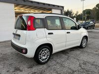 Usata Fiat Panda Lounge 69 CV (50 kW) 2013 Bianco Utilitaria