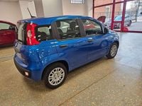 Nuova Fiat Panda S 69 CV (50 kW) 2026 Giallo Utilitaria