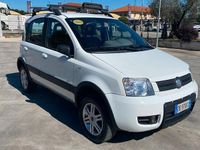 Usata Fiat Panda 4x4 Climbing 69 CV (50 kW) 2006 Bianco Utilitaria