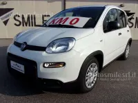 Nuova Fiat Panda S 69 CV (50 kW) 2026 Bianco Utilitaria