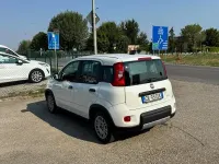 Usata Fiat Panda City Life 69 CV (50 kW) 2023 Bianco Utilitaria