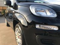 usata Fiat Panda 1.2 Easy