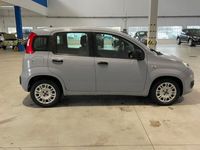 usata Fiat Panda 1.2 69CV NEOPATENTATI - PRONTA CONSEGNA - POCHI KM