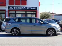 Usata Ford S-MAX ST-Line 150 CV (110 kW) 2019 Grigio Monovolume