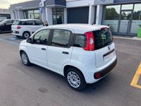 usata Fiat Panda 1.3 MJT 95 CV S&S Easy