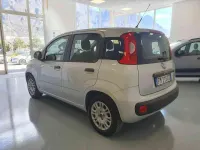 Usata Fiat Panda Easy 69 CV (50 kW) 2017 Argento Utilitaria