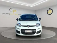 Usata Fiat Panda S 69 CV (50 kW) 2022 Bianco Utilitaria