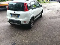 Usata Fiat Panda 4x4 75 CV (55 kW) 2014 Bianco Utilitaria