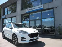 Usata Ford Kuga ST-Line X 152 CV (111 kW) 2023 Bianco SUV