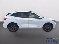 Usata Ford Kuga ST-Line 225 CV (165 kW) 2023 Frozen white SUV