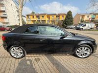 Usata Audi A3 Cabriolet Ambition 125 CV (91 kW) 2013 Nero Cabrio