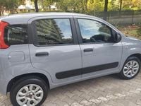 Usata Fiat Panda Easy 85 CV (62 kW) 2020 Grigio Utilitaria