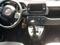 Usata Fiat Panda Cross Cross 69 CV (50 kW) 2021 Grigio Utilitaria