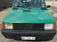 Usata Fiat Panda 4x4 50 CV (36 kW) 1990 Verde Utilitaria