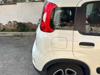 usata Fiat Panda hibrid City Life