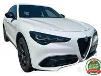 Usata Alfa Romeo Stelvio Veloce 209 CV (153 kW) 2023 Bianco SUV