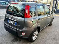 Usata Fiat Panda 69 CV (50 kW) 2023 Grigio Utilitaria