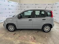Usata Fiat Panda S 70 CV (51 kW) 2021 Grigio Utilitaria