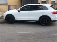 usata Porsche Cayenne Cayenne 3.0 Diesel 250CV Platinum Edition