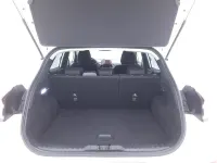 Usata Ford Puma Titanium 125 CV (91 kW) 2022 Biancobianco SUV