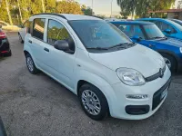 Usata Fiat Panda S 70 CV (51 kW) 2022 Bianco Utilitaria