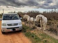 Usata VW California California 170 CV (125 kW) 2006 Argento Furgone