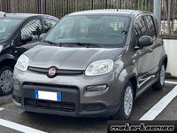 Usata Fiat Panda Cross Cross 70 CV (51 kW) 2023 Grigio Utilitaria