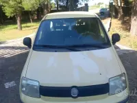 Usata Fiat Panda Active 54 CV (39 kW) 2010 Giallo Utilitaria