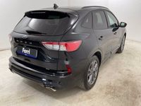 usata Ford Kuga 1.5 ecoblue st-line 2wd 120cv