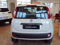 usata Fiat Panda 0.9 TwinAir Turbo Natural Power Easy del 2015 usata a Imola