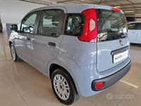 Usata Fiat Panda Easy 69 CV (50 kW) 2018 Grigio Utilitaria