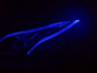 Usata Mercedes E53 AMG AMG 435 CV (319 kW) 2019 Bianco Cabrio