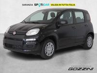 Nuova Fiat Panda Icon 69 CV (50 kW) 2025 Nero Utilitaria