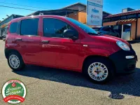 Usata Fiat Panda 80 CV (58 kW) 2016 Rosso Utilitaria