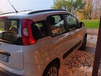 Usata Fiat Panda Lounge 69 CV (50 kW) 2017 Utilitaria