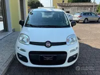 Usata Fiat Panda Easy 69 CV (50 kW) 2020 Bianco Utilitaria