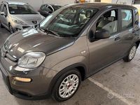 Usata Fiat Panda S 70 CV (51 kW) 2022 Grigio Utilitaria