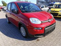 Nuova Fiat Panda 70 CV (51 kW) 2025 Rosso Utilitaria