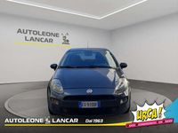 Usata Fiat Punto Lounge 77 CV (56 kW) 2014 Grigio Berlina