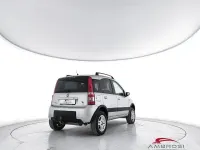 Usata Fiat Panda 4x4 Cross 69 CV (50 kW) 2007 Grigio Utilitaria