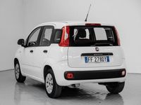 usata Fiat Panda Panda1.2 Easy